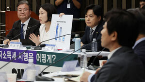 민주당 '금투세 당론', 지도부에 위임&hellip;유예 무게