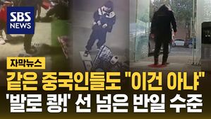 [자막뉴스] 도 넘은 반일