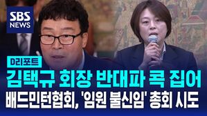 [AI D리포트] 김택규 회장 반대파 콕 집어&hellip;배드민턴협회, '임원 불신임' 총회 시도
