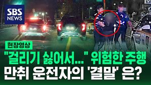 [영상] "걸리기 싫어서" 경찰 피해 인도와 중앙선 넘나들며 '도주'&hellip;만취 운전자 추격전 끝 '체포'