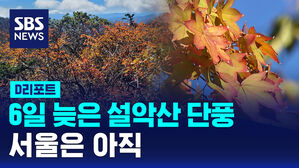 [D리포트] 6일 늦은 설악산 단풍&hellip;서울은 아직