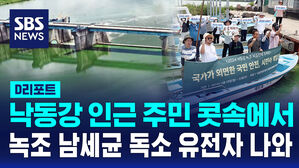 [D리포트] 사람 콧속에서 녹조 독소 남세균 검출