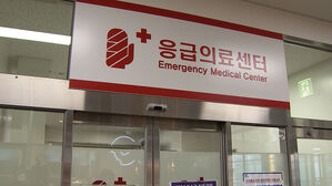 권역·지역응급의료센터 의사 증가 지속…의료대란 전보다 7%