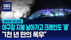 [글로벌D리포트] 야구장 지붕 날아가고 크레인도 쿵&hellip;"1천 년 만의 폭우"