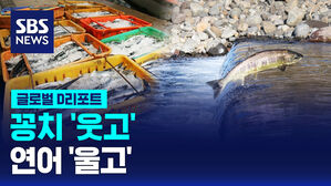 [D리포트] 꽁치 '웃고' 연어 '울고'