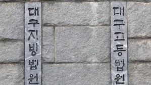 [단독] 뒷 손님 놓친 카트에 '쿵'&hellip;법원 "마트 책임 70%"