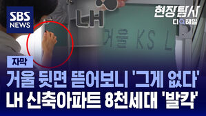 현장탐사 디테일 LH 거울 교체 수정본