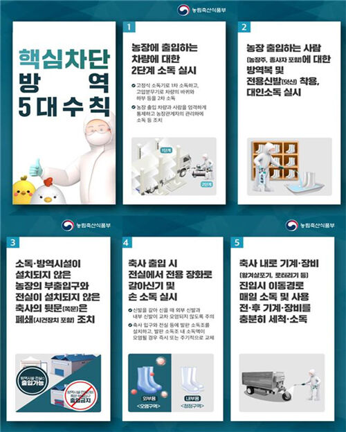 군산 야생조류 분변서 국내 첫 H5N3형 고병원성 AI 확인 (사진=농림축산식품부 제공, 연합뉴스)
