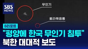 무인기 보도