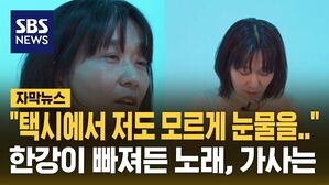 [자막뉴스] "택시에서 저도 모르게 눈물을&hellip;" 노벨문학상 한강 신드롬에 악뮤도 '역주행'