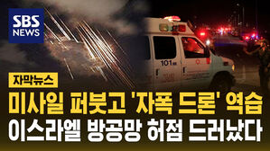 [자막뉴스] 미사일로 시선 돌리고 자폭드론 띄운 헤즈볼라&hellip;이스라엘 방공망 빈틈 노렸다