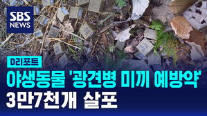 [D리포트] "광견병 막아라" 서울시, 야생동물에 '미끼 예방약' 살포