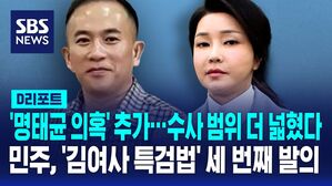 특검법