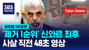 [글로벌D리포트] '제거 1순위' 신와르 최후&hellip;사살 직전 48초 영상