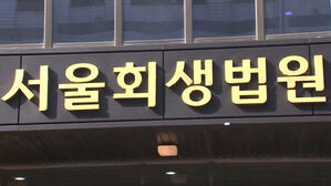 법원, '다자녀' 개인회생 채무자 변제 기간 단축&hellip;'3명→2명' 완화