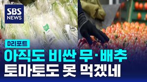 [D리포트] 아직도 비싼 무&middot;배추&hellip;토마토도 못 먹겠네