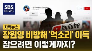 [자막뉴스] 장원영 비방해 '2억 5천' 벌어도&hellip;신원 조회 하려면 '이곳'으로
