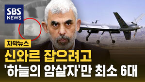 [자막뉴스] 신와르 잡으려&hellip;'하늘의 암살자'만 최소 6대 띄웠다
