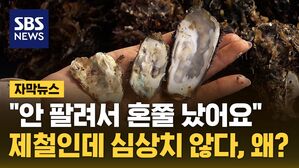 [자막뉴스] "안 팔려서 혼쭐 났어요"&hellip;제철인데 심상치 않다, 왜?