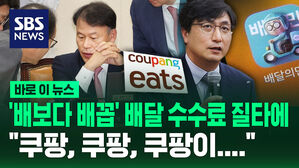 [바로이뉴스] 과한 중개수수료 지적에&hellip;'배달의민족' 이렇게 답했다