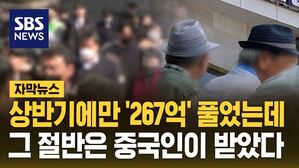 [자막뉴스] 한국에서 죽을 때까지 받는 돈&hellip;267억의 절반은 '중국인' 차지