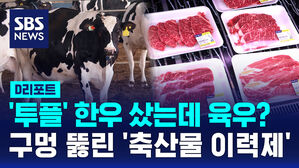 [D리포트] '투플' 한우 샀는데 육우?&hellip;구멍 뚫린 '축산물 이력제'