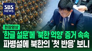 [영상] "북한 이미지 실추 노린 소문" 파병 증거들 있는데, 유엔 총회 회의에서 북한이 발뺌하면서 한 말
