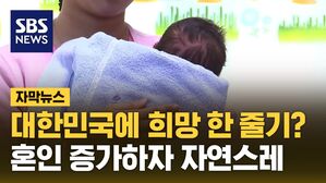 [자막뉴스] 대한민국에 희망 한 줄기?&hellip;혼인 증가하자 자연스레