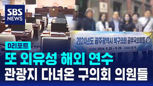 [D리포트] 또 외유성 해외 연수&hellip;관광지 다녀온 구의회 의원들