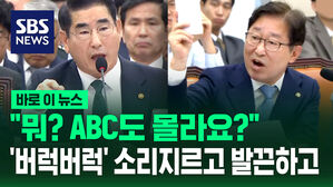[바로이뉴스] "뭐? ABC도 몰라요?"&hellip;고함치고 발끈하고