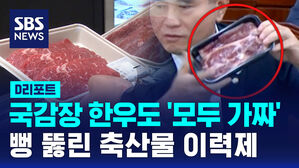 [D리포트] 국감장 한우도 '모두 가짜'&hellip;뻥 뚫린 축산물 이력제