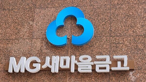 '뱅크런' 사태 재발 막는다&hellip;새마을금고 경영혁신 법안 공포