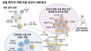 자폐 유전자 성별 차이&hellip;"남성 유병률이 여성의 4배"