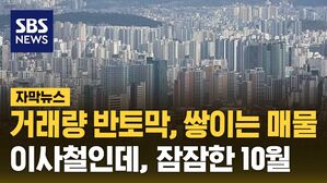 [자막뉴스] 거래량 반토막, 쌓이는 매물&hellip;잠잠한 10월
