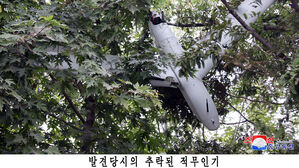 "서울서 무인기가 전단 살포하면"&hellip;김여정, 남한 무대응에 불만 표시