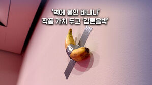 [뉴블더] "1억 원일 땐 먹었는데"&hellip;순식간에 뛴 가격