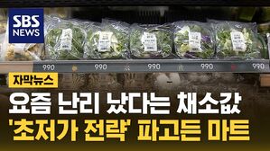 [자막뉴스] 요즘 난리 났다는 채소값&hellip;'초저가 전략' 파고든 마트