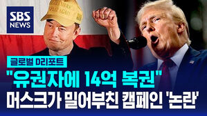 [글로벌D리포트] '유권자에 14억 복권' 머스크가 밀어부친 논란의 캠페인