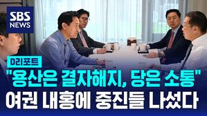 여권내홍