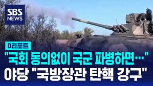 국회동의