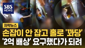 [자막뉴스] 손잡이 안 잡고 홀로 '꽈당'&hellip;'2억 배상' 요구했다가 되려