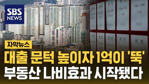 [자막뉴스] 대출 문턱 높이자 1억이 '뚝'&hellip;부동산 나비효과 시작