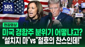 [현장영상] 전략 확 바꾼 트럼프 vs 막판에 힘 빠진 해리스&hellip;미 대선, 지금 경합주 분위기는?