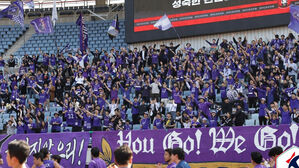 FC안양, 창단 11년 만에 K리그2 우승&hellip;승격 확정