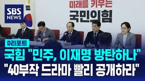 [AI D리포트] 추경호 '이재명 보호 더불어방탄당'&hellip;'명태균 40부작 드라마냐? 빨리 공개하라'