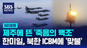 북한 떠는 '죽음의 백조', 제주 하늘에 떴다&hellip;강력 대응 [AI D리포트]