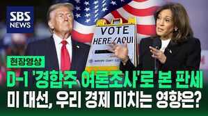 [영상] "49% 대 49%" 해리스 vs 트럼프 치열한 접전&hellip;막판 여론조사로 본 경합주 판세는?