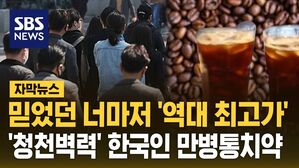 [자막뉴스] 믿었던 너마저 '역대 최고가'&hellip;'청천벽력' 한국인 만병통치약