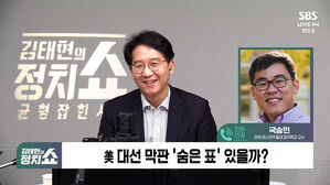 [정치쇼] 국승민 "트럼프, 선거부정 의혹 제기&hellip;오늘 밤 승리선언 소문도"