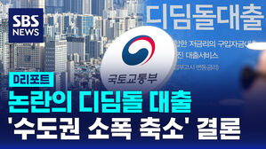 [D리포트] 논란의 디딤돌 대출 '수도권 소폭 축소' 결론